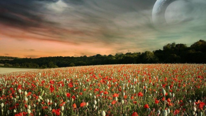 求推荐程序开发笔记本!?